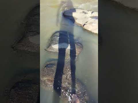 Lugar topissimo.. cachoeirinha! #nature #naturezaurbana #naturephotography   #natureza #aventura