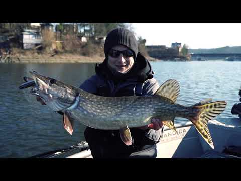 HART // MANOLO&Co. THE FISHING REVOLUTION