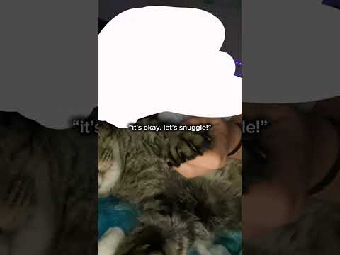 The best pet I could ever ask for 💗