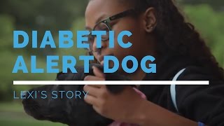 Diabetic Alert Dog: Lexi's Story