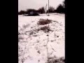Шторм в Одессе в 2014 году.Деревья, электрические провода вырванно с корнями[Sky ...