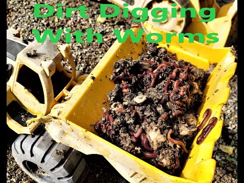 Dirt Digging With Worms