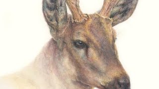 118.71% FulFilled Emptiness