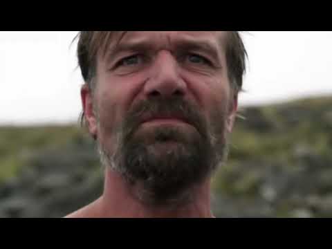 Breathwork Inspiration 5 PRINCIPLES OF BREATH THERAPY by Dan Brule