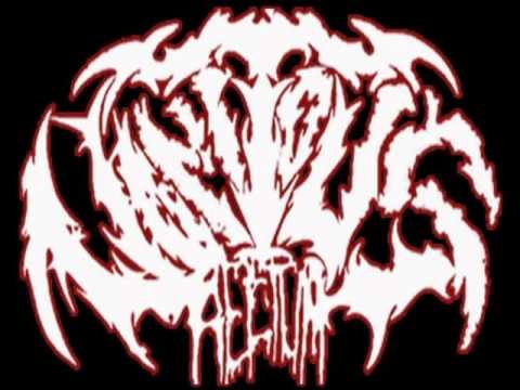 Vomitous Rectum - Of Flesh And Blood