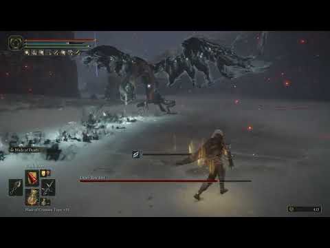 [Elden Ring] Faith/Holy VS Death Rite Bird