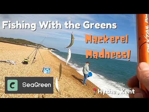 💥🤪Mackerel MADNESS! The BEST Way to catch Mackerel Fishing With the Greens #ladyangler #fishing