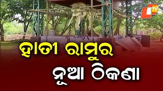 Elephant Ramu's Skeleton Gets New Home at Chandaka Godibari Nature Camp