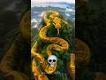 Big Snake