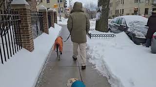 ニューヨークに引っ越しました