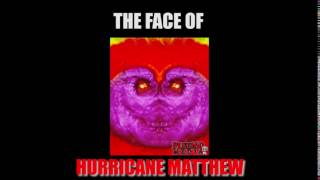 HURRICANE MATTHEW'S FACE