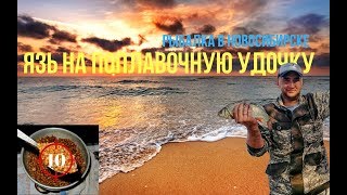 Советы на ловли язя