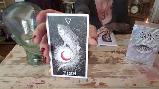 Download Lagu Wild unknown animal spirit deck: stingray, fish, starfish- THE TAXIDERMY WITCH Thumbnail