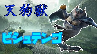 ビシュテンゴで乙るやつおる？？【モンハンライズ実況里クエ制覇】