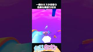 一瞬の判断ミスが命取り！リングのノロイ！【Fall Guys/フォールガイズ】