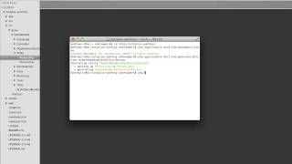 Download the video "Working With Databases in Symfony 2"