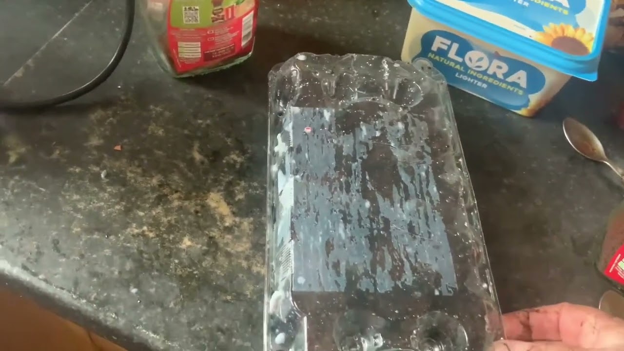 Making seed trays ￼Out of plastic egg cartons ￼ flowers for the bees Ireland by brendan connolly