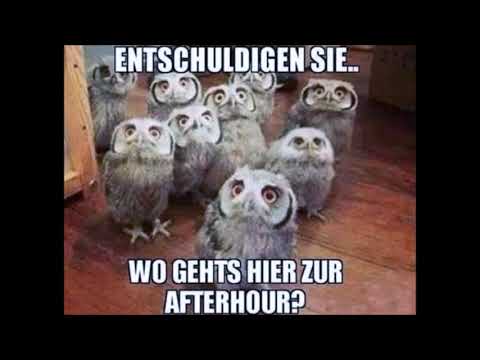 Ilsa Gold - Silke Süchtig