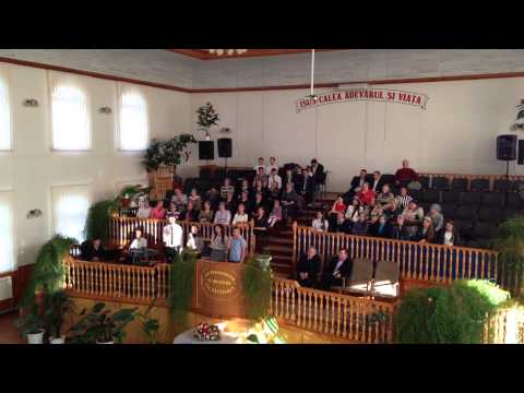 Un grup de tineri E-a treia zi de cand murii