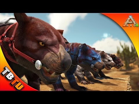 HOW TO CONTROL MUTATION INHERITANCE! BREEDING FOR COLOR! THYLACOLEO MUTATIONS! Ark Scorched Earth