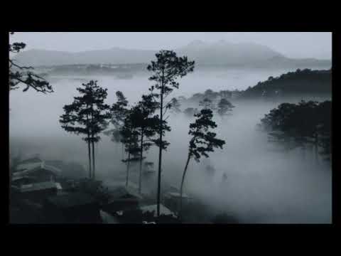 Tìm về chốn mù sương Sheet - Nhất Chi Mai