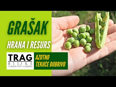 PEAS - FOOD AND RESOURCE - LIQUID NITROGEN FERTILIZER (2022) [TRACE OF THE PLANT]