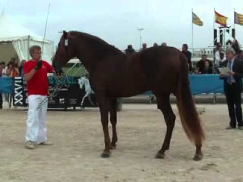 download lagu mp3 mp4 Mel De Romani, download lagu Mel De Romani gratis, unduh video klip Mel De Romani