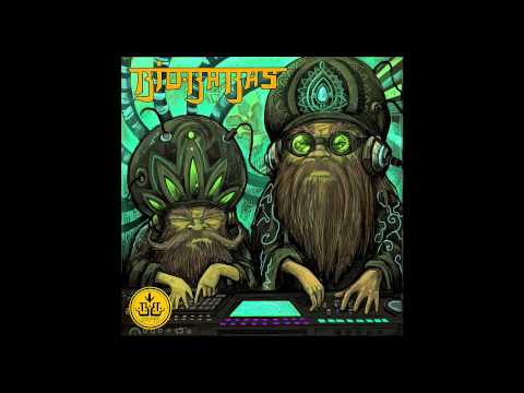 BIO BABAS@human evolution Festival 2015