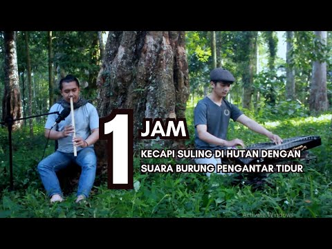 kecapi Suling sunda live dengan suara alam dan suara burung di hutan pengantar tidur 1 jam -