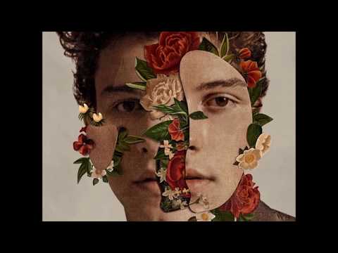 Shawn Mendes - Lost In Japan