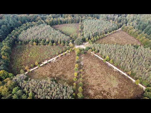 Bekijk video