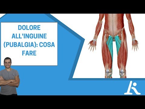 Tè salice per il trattamento delle articolazioni Divario di trattamento ginocchio sinovia