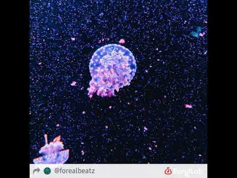 4RAS - XEOOLN THE FUCK IS STILL)