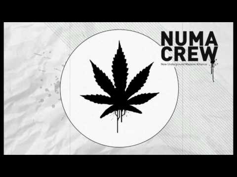 Alborosie - Herbalist (Numa Crew Bootleg Remix)