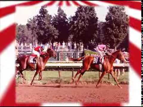 Saratoga 150 Feature: 1978 Travers