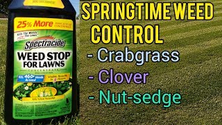 How to Kill Crabgrass and Clover in the Lawn - Springtime Weed Control