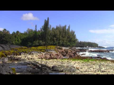 Beautiful moss covered lava rock at Ha'ena Beach