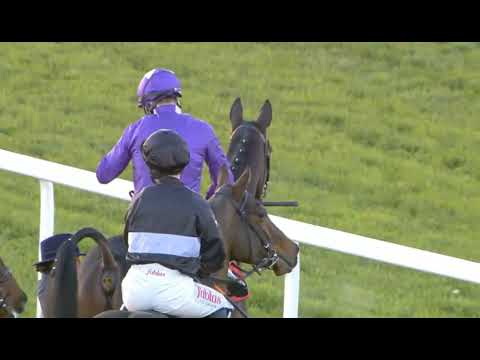 R7-AT 1545 - ASCOT -  UK -  21 NOV 2025