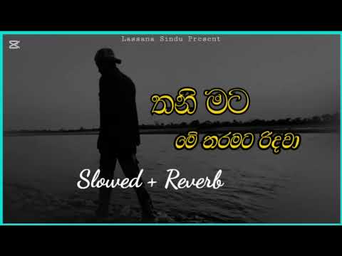 Thani Mata Me Tharamata Me Tharamata Ridawa | Sinhala Song | Slowed + Reverb