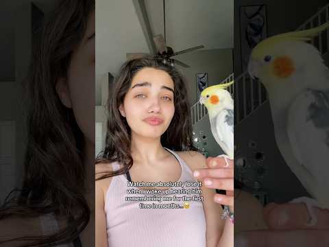 MY BIRD FINALLY REMEMBERS ME🥹 #cried