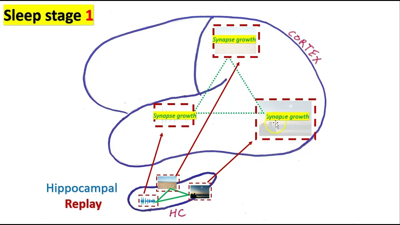 Making an episodic memory of a solar eclipse... part 4... memory consolidation during sleep