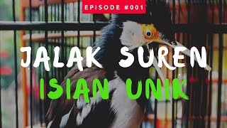 Download lagu Jalak Suren Gacor Isian Unik #001 mp3