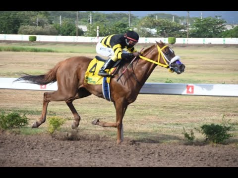 Atomica (JAM) - 2022 Jamaica 1000 Guineas