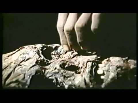 RUIDO NOISE: PUTREFUCK "IMPENDING NECROPHILIA OF FRESH AND PALE CADAVERS ARRIVING TO THE MORGUE"