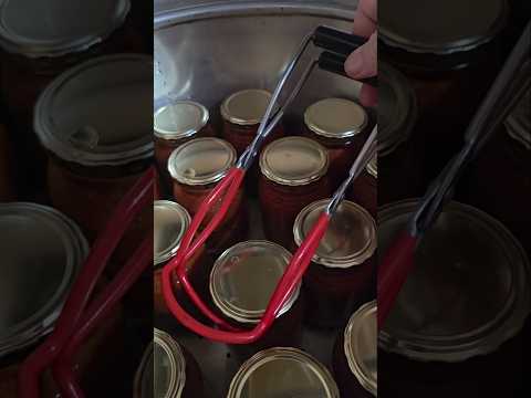 Mastering Canning Tongs: Proper Use for Safe Preservation
