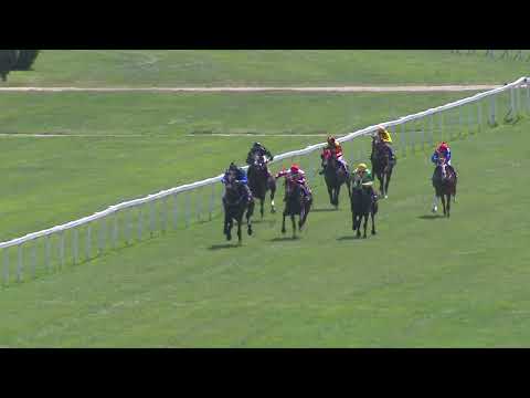 Dostihy Chuchle Arena Praha 26. 6. 2022 - 1. dostih - Cena výživových programů Fitmin