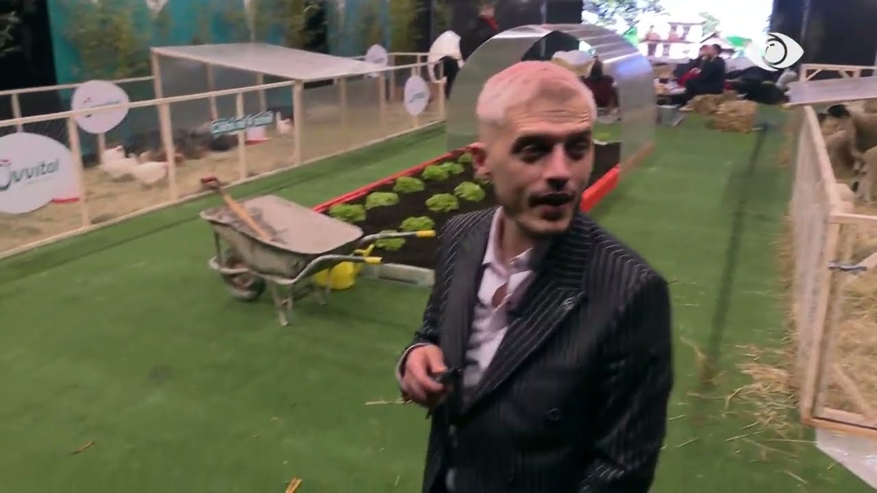 “S’ma kishe thënë asnjë herë…”/ Bardhi bisedon me Sarën: Ndërrohu!