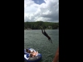 Slow Mo Swan Dive