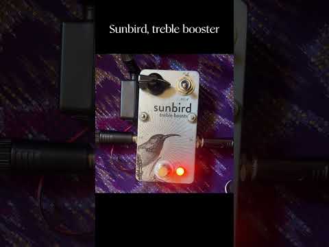 DIY Sunbird - Rangemaster boost 2023 - Matte polyurethane transfer on aluminum image 11