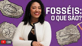 O que são Fósseis? Tipos de Fossilização